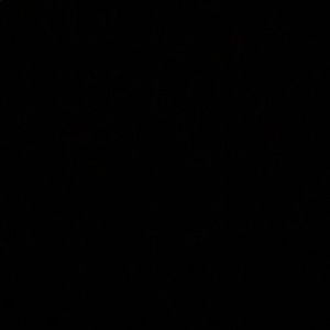 Meet your Posher, Tony